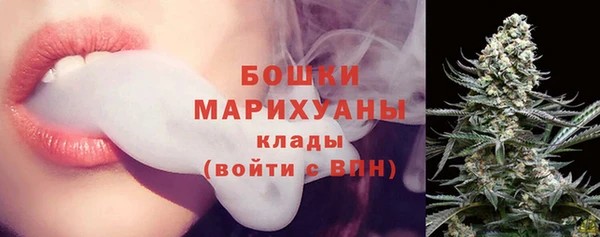 spice Новозыбков