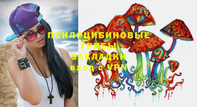 Галлюциногенные грибы Psilocybe  закладка  Рыбное 