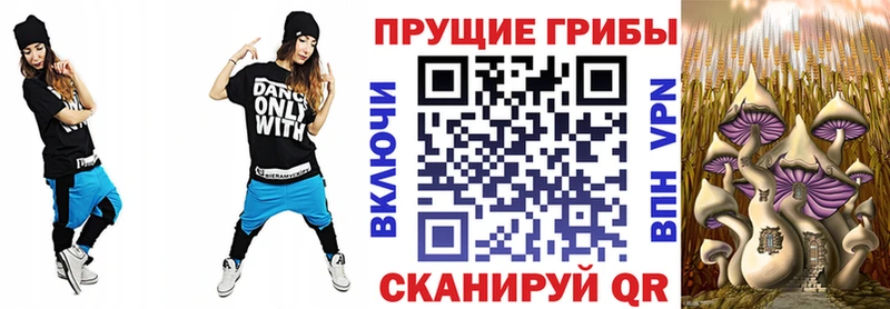 купить закладку  Рыбное  Галлюциногенные грибы Psilocybine cubensis 